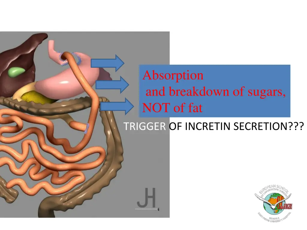 absorption and breakdown of sugars not of fat 1