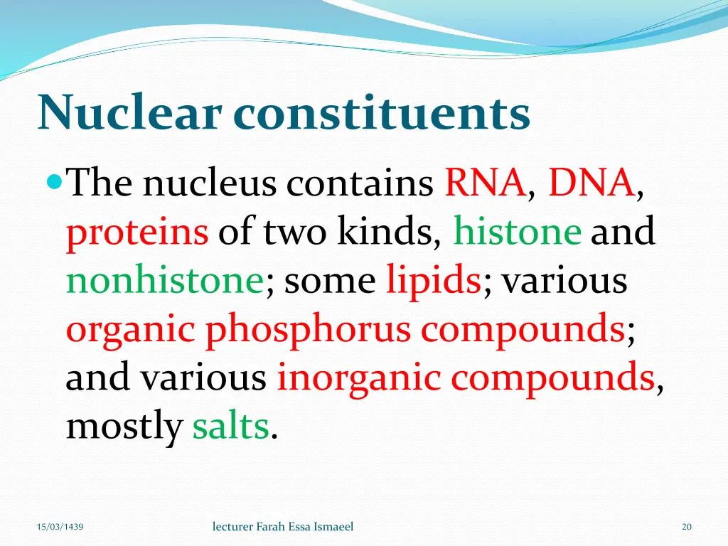 nuclear constituents