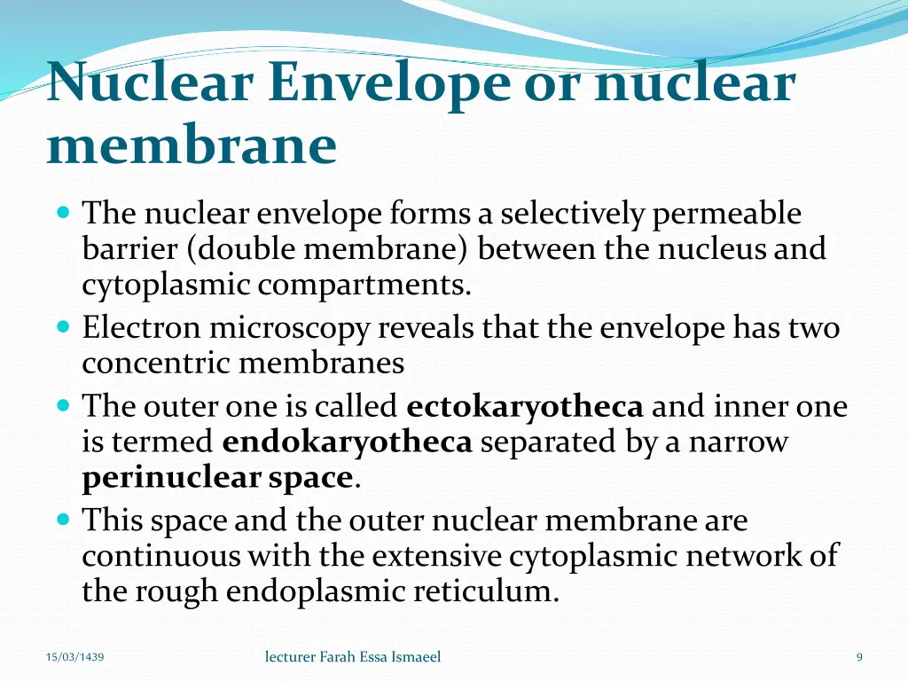 nuclear envelope or nuclear membrane 1