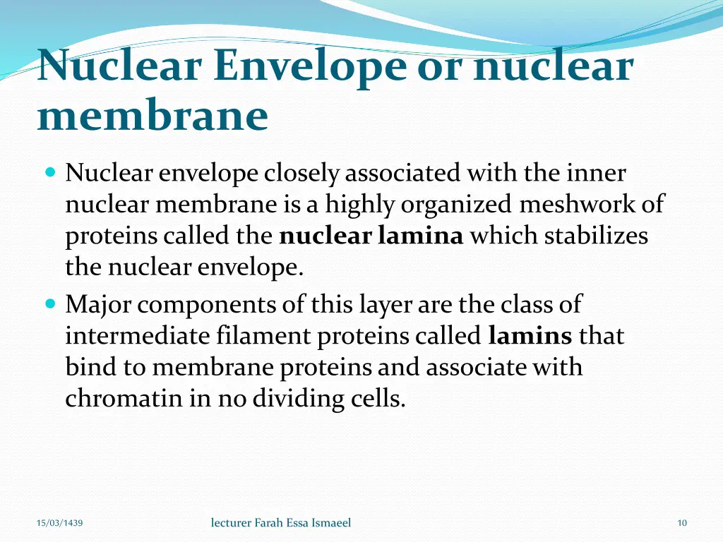nuclear envelope or nuclear membrane 2