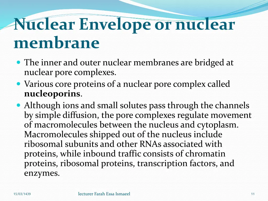 nuclear envelope or nuclear membrane 3