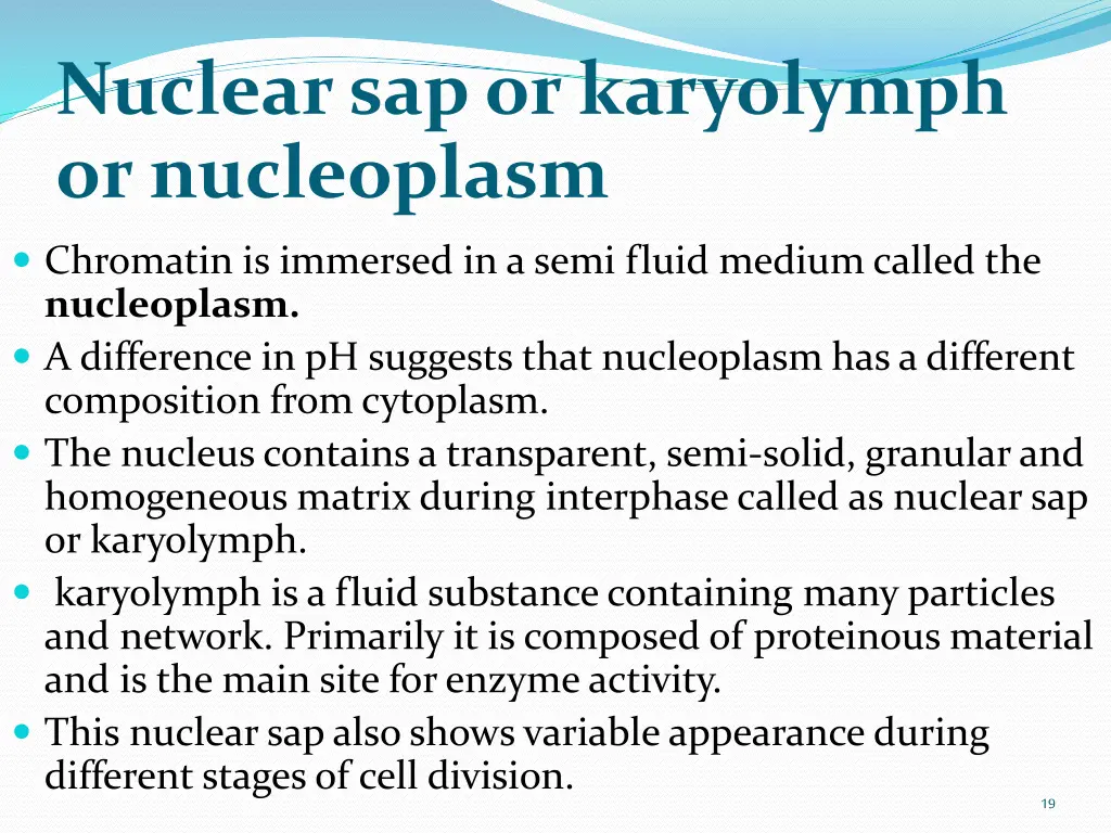 nuclear sap or karyolymph or nucleoplasm