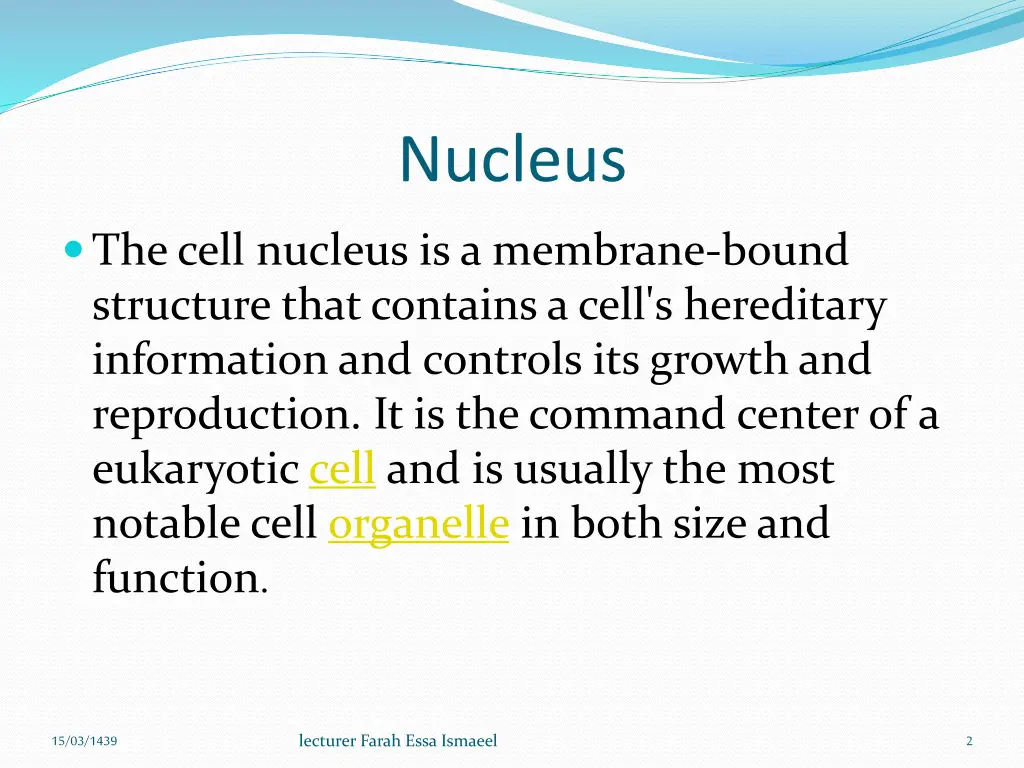 nucleus