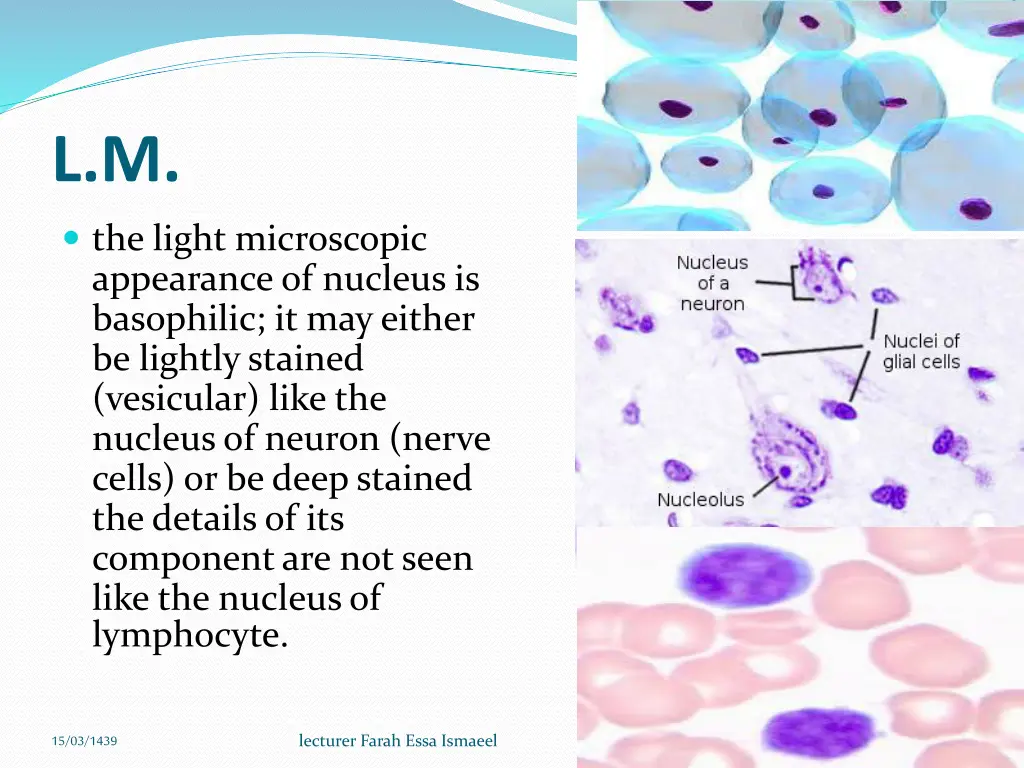 slide5