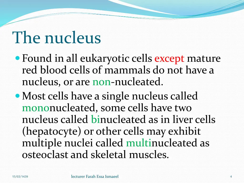 the nucleus 1