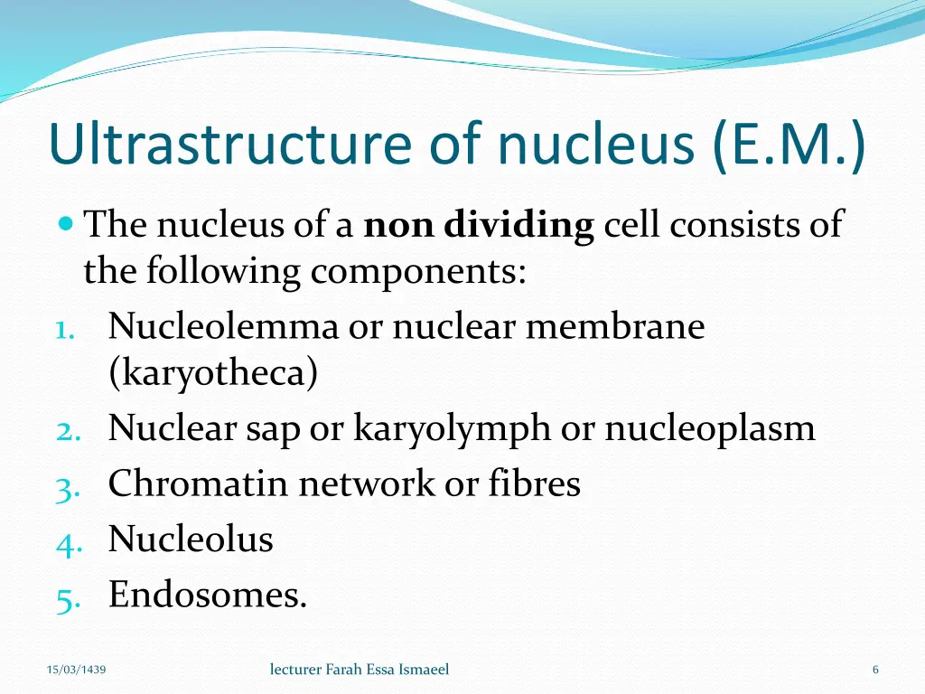 ultrastructure of nucleus e m