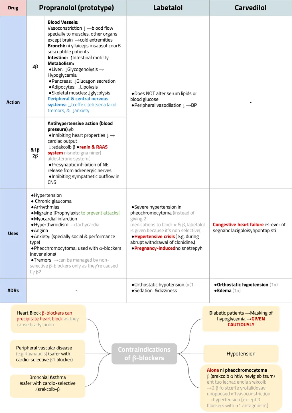 propranolol prototype 1
