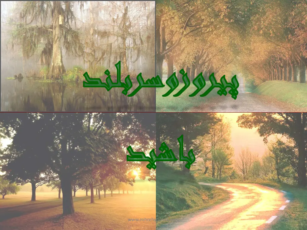 www zohrehyousefi com 1