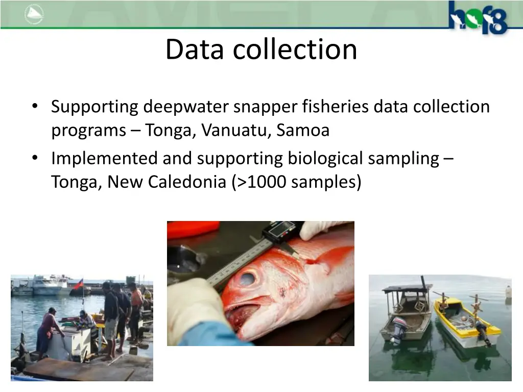 data collection