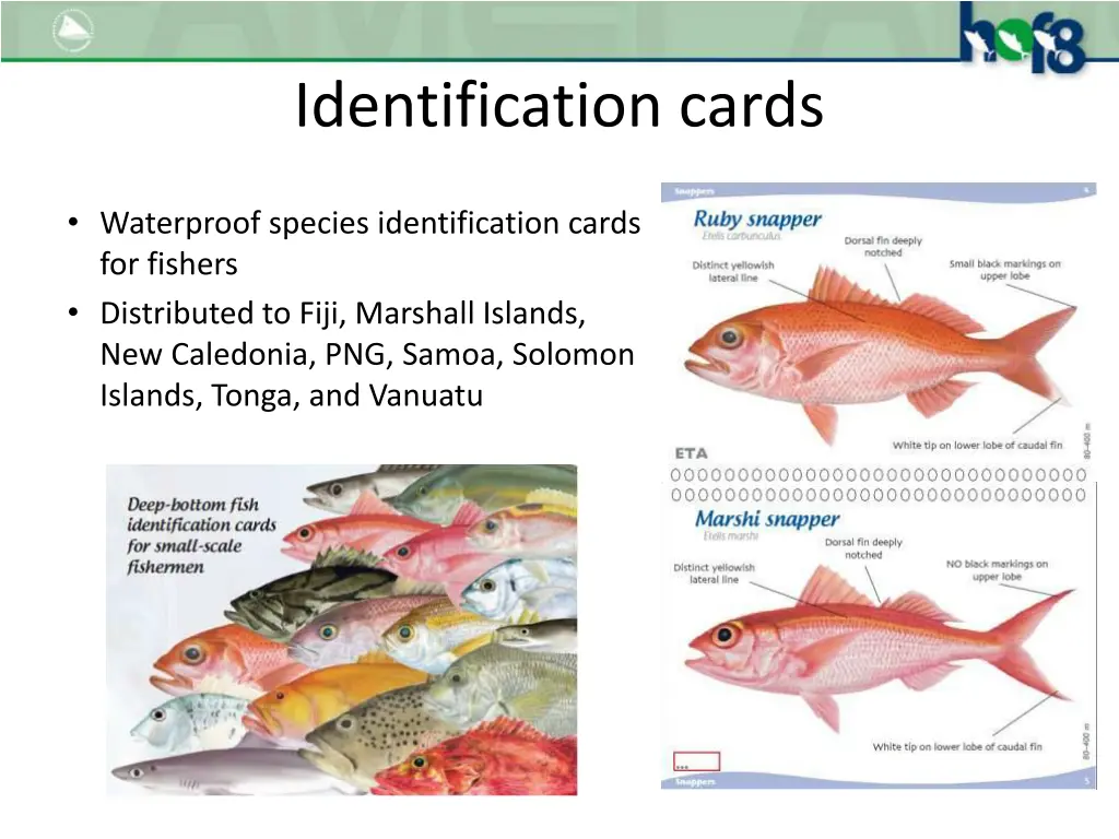 identification cards
