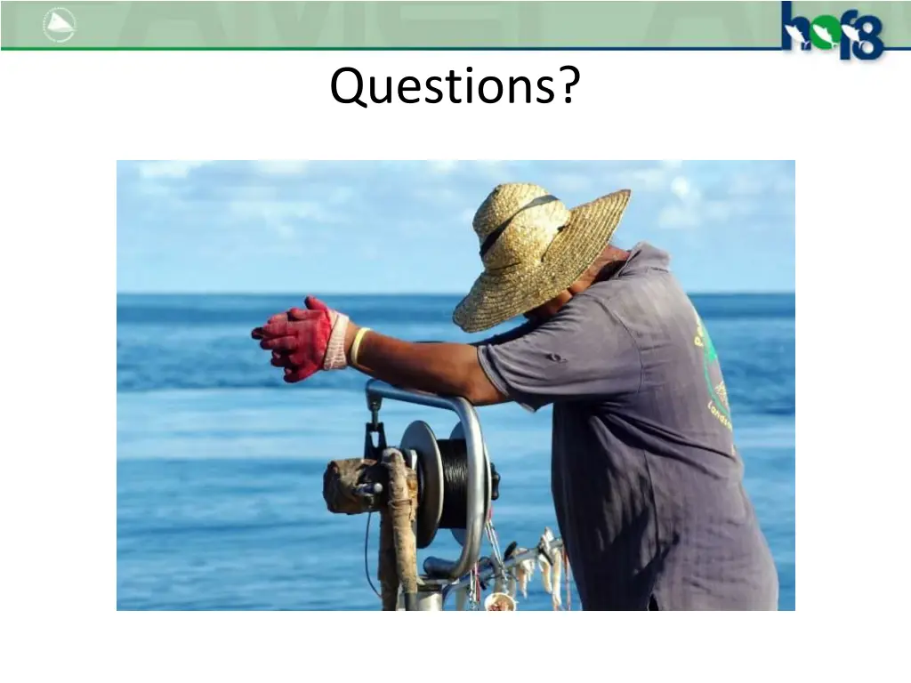 questions