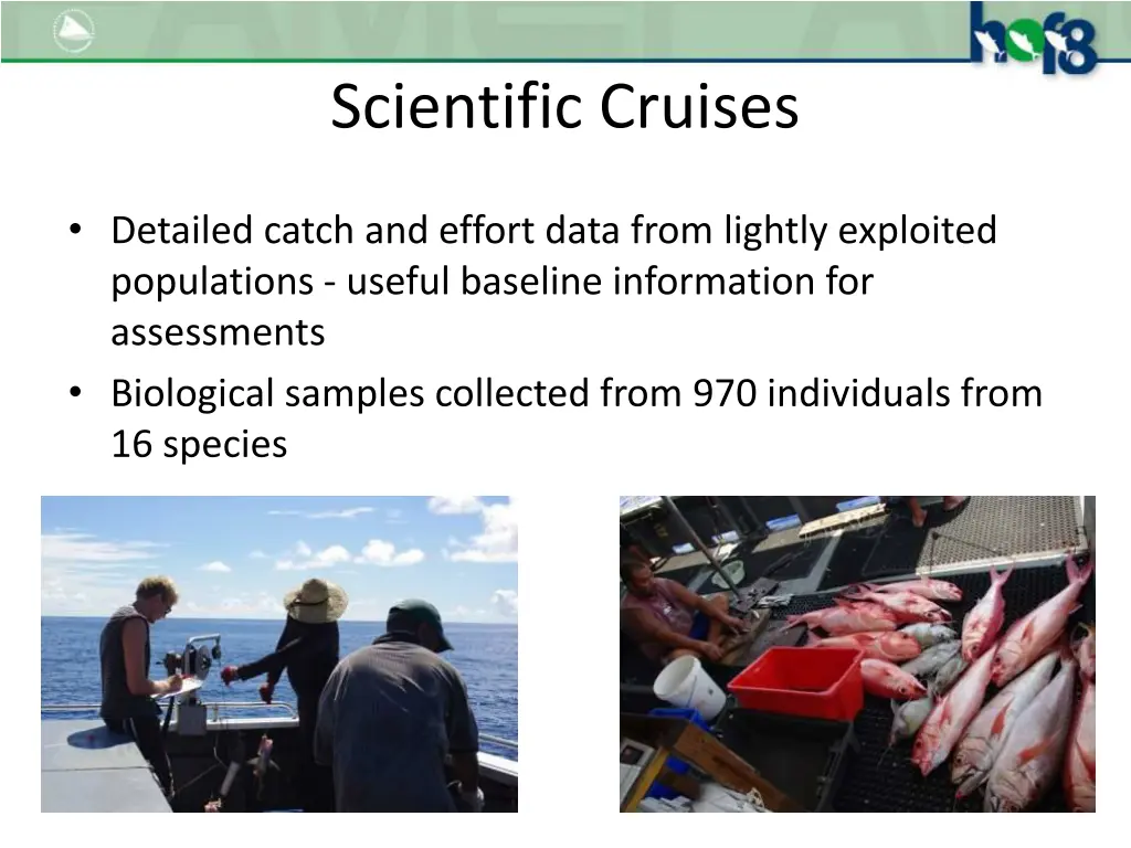 scientific cruises 1