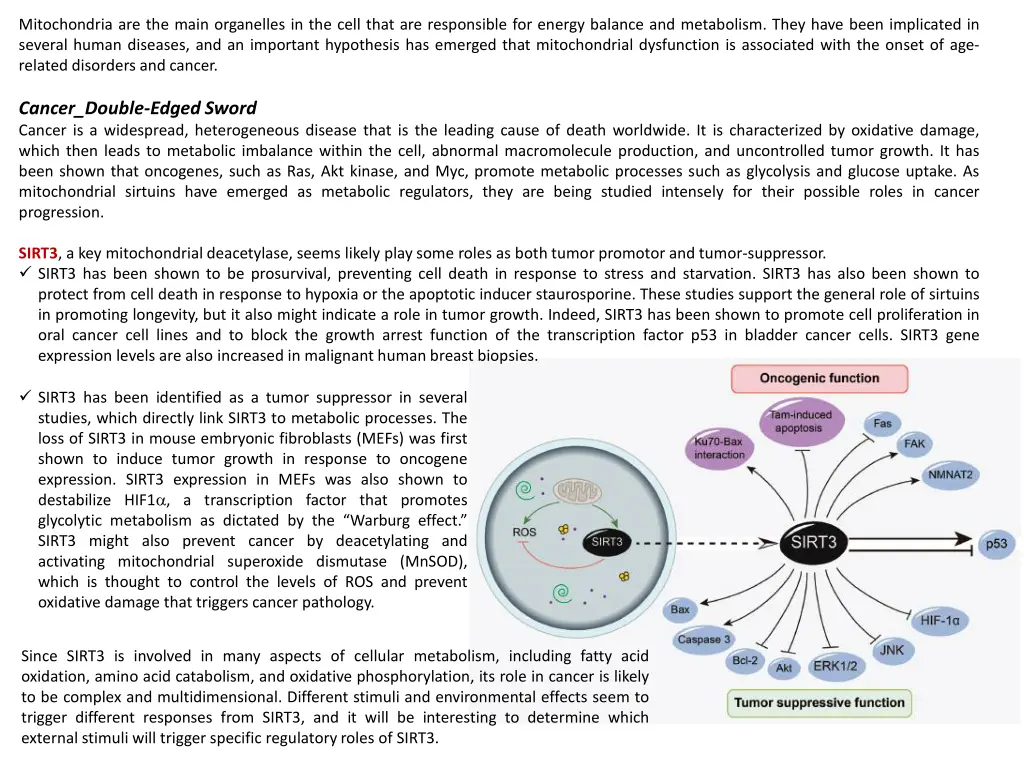 mitochondria are the main organelles in the cell