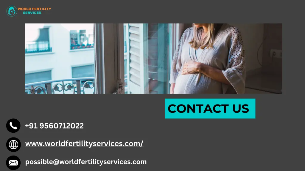 contact us