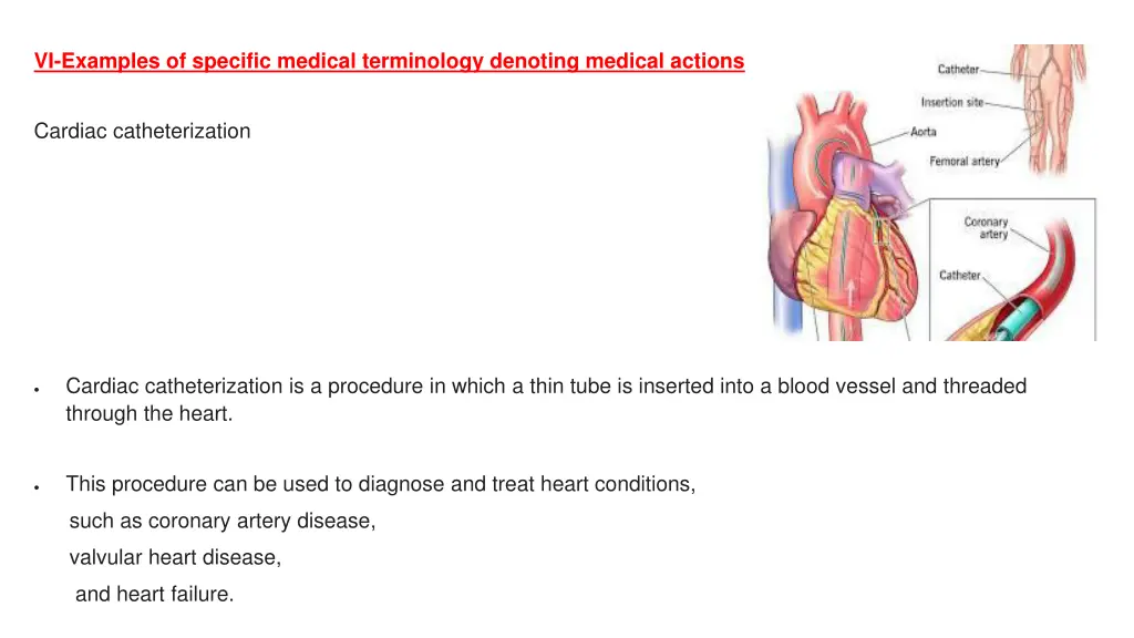 vi examples of specific medical terminology