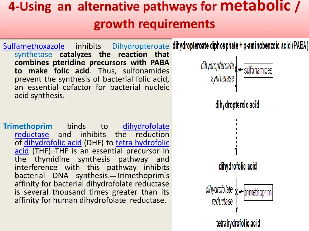 4 using an alternative pathways for metabolic
