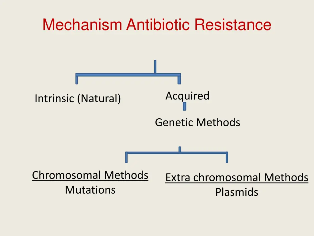 mechanism antibiotic resistance