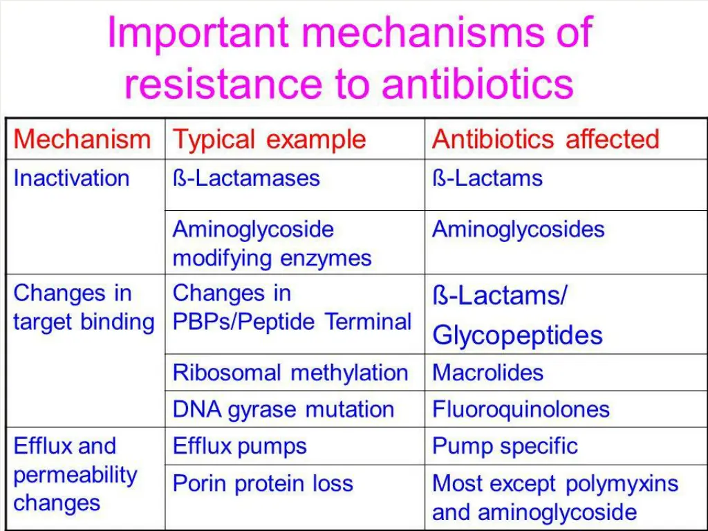 slide13