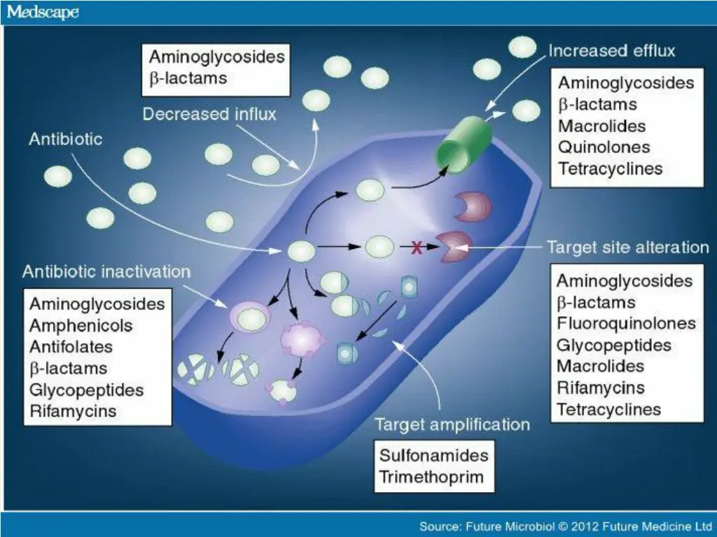 slide14