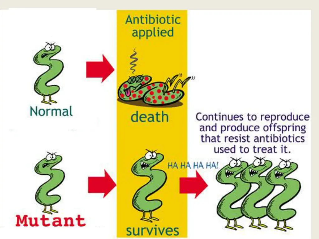 slide3
