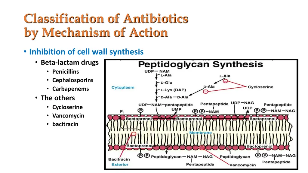 classification of antibiotics by mechanism