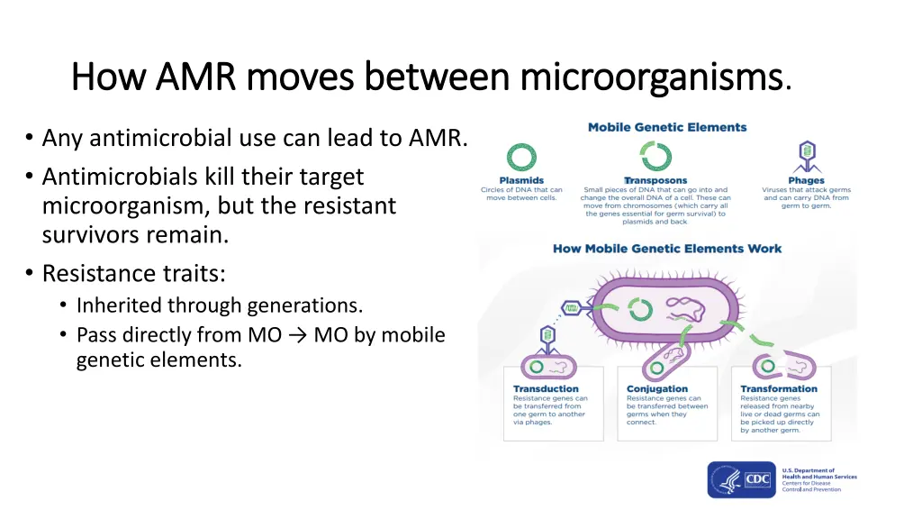 how amr moves between microorganisms