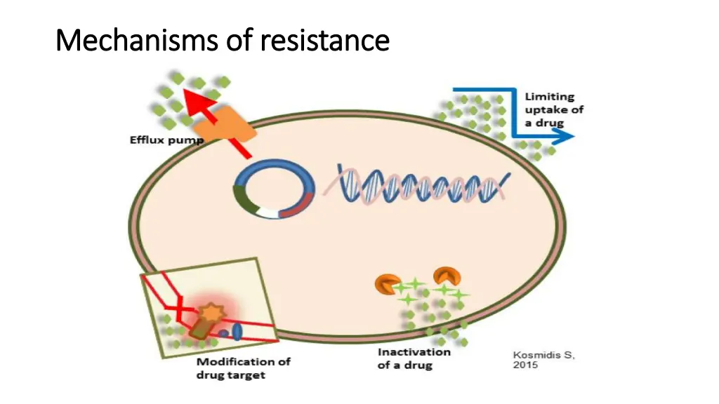 mechanisms of resistance mechanisms of resistance