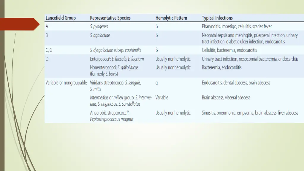 slide4