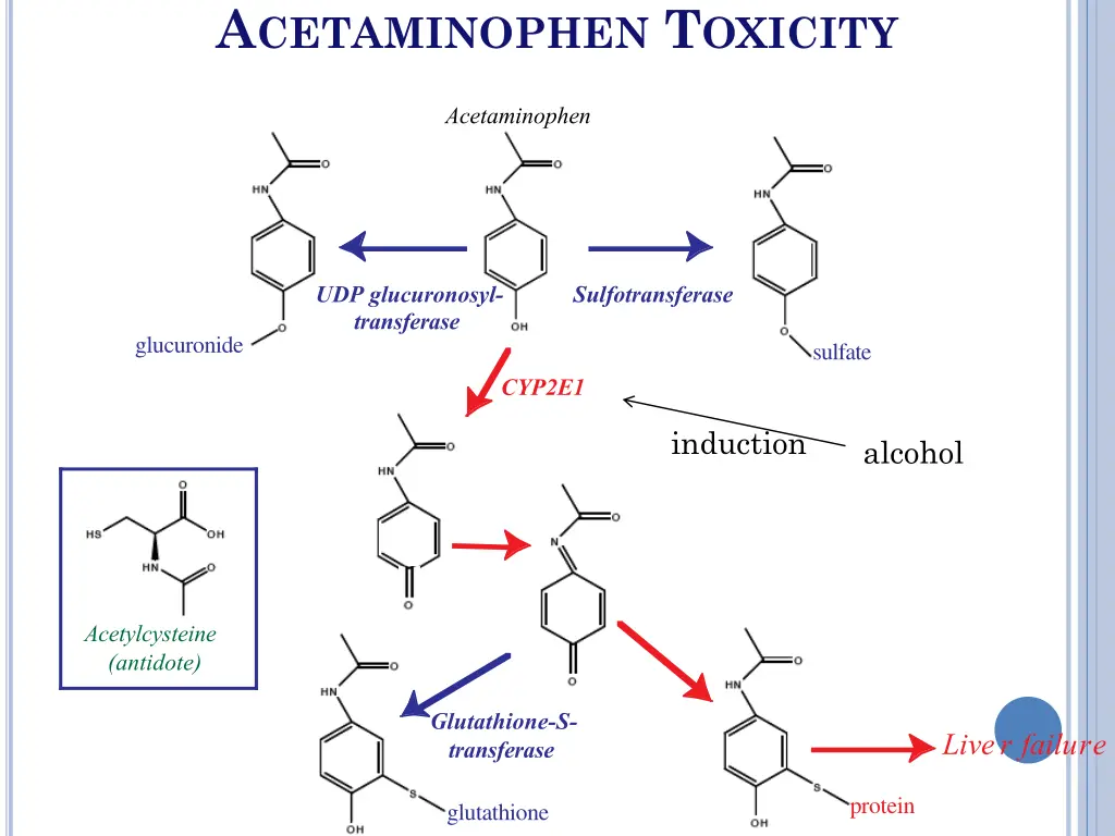 a cetaminophen t oxicity