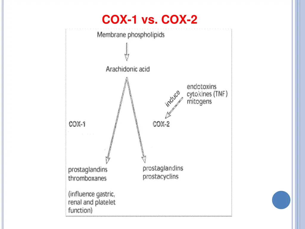 cox 1 vs cox 2
