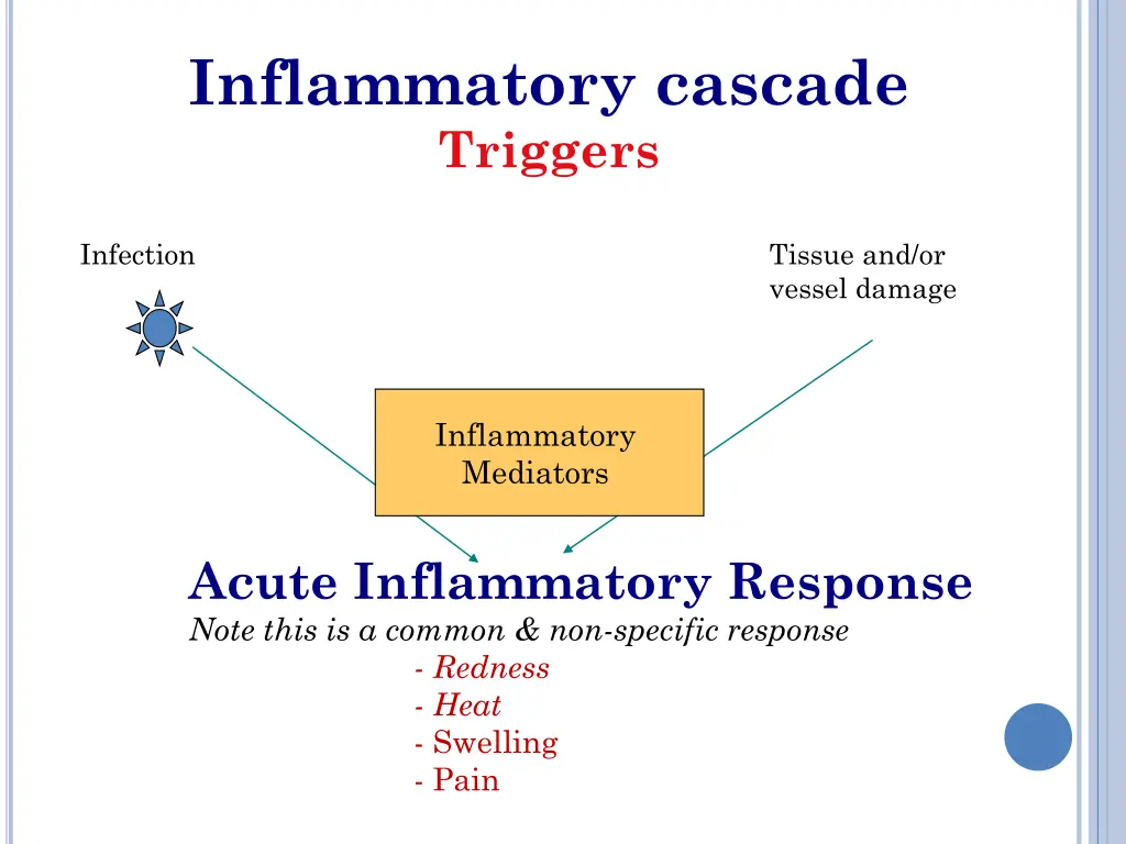 inflammatory cascade triggers