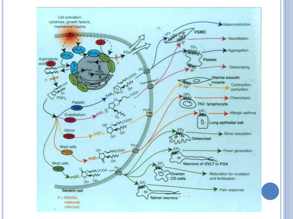 slide5