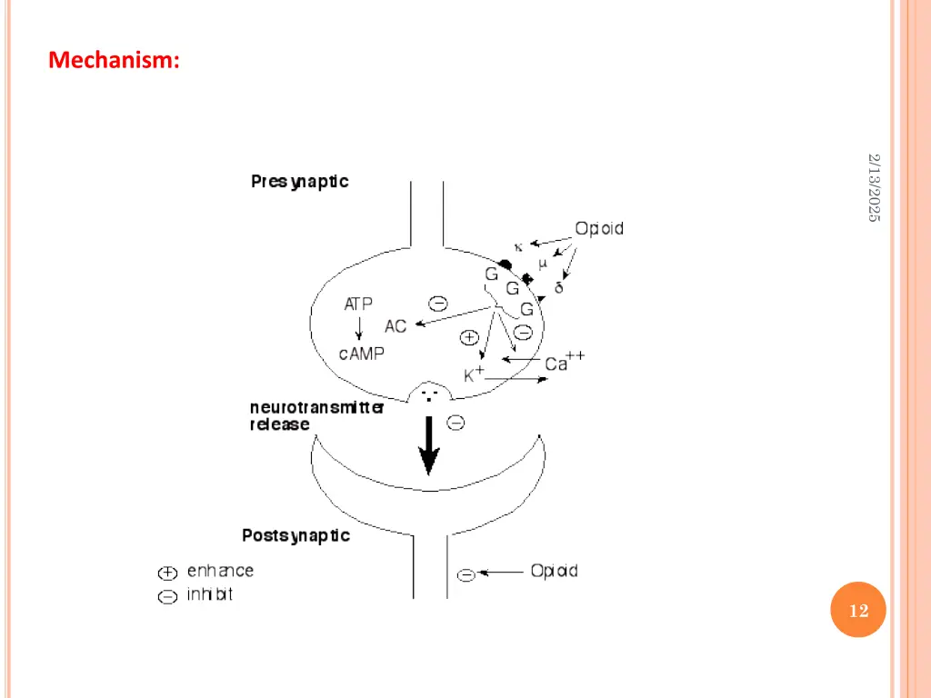 mechanism