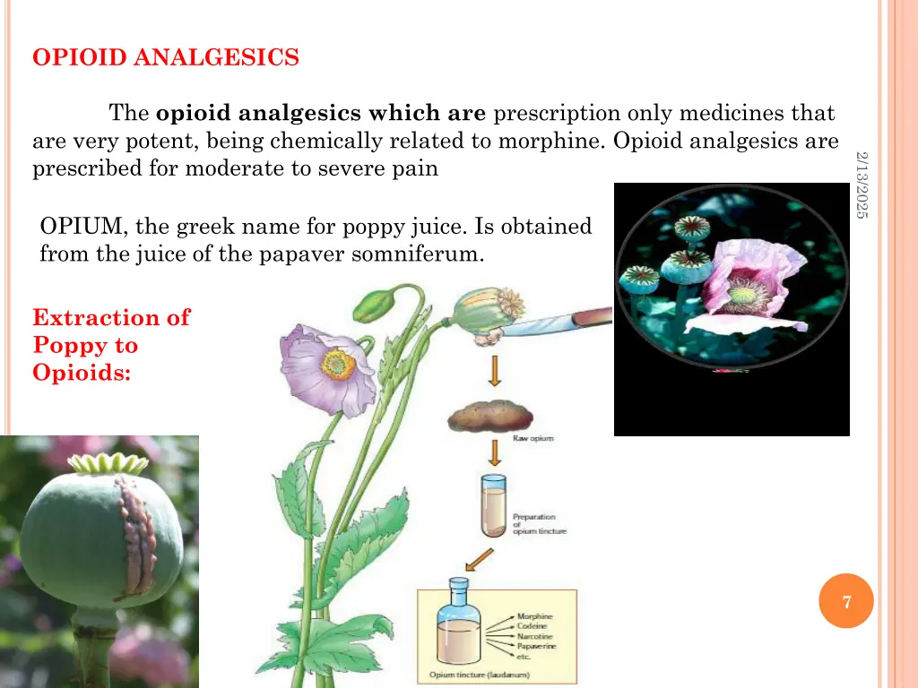 opioid analgesics