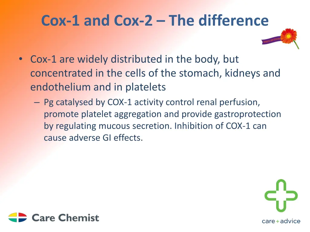 cox 1 and cox 2 the difference