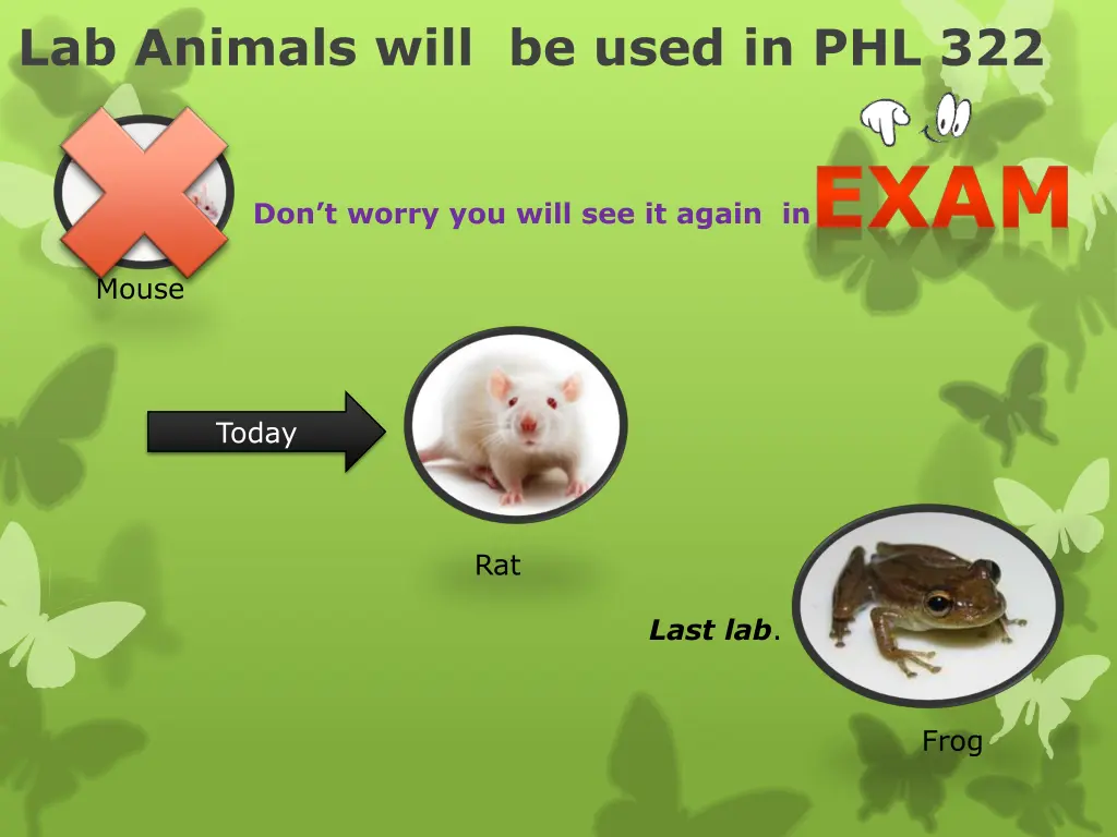 lab animals will be used in phl 322