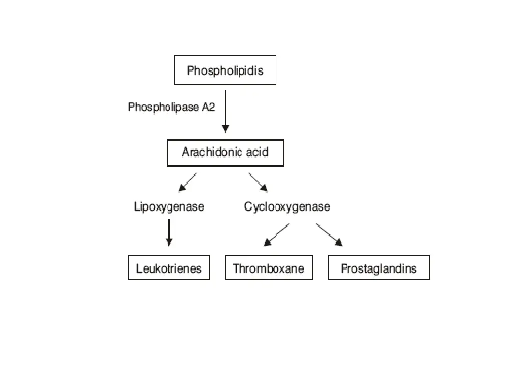 slide14
