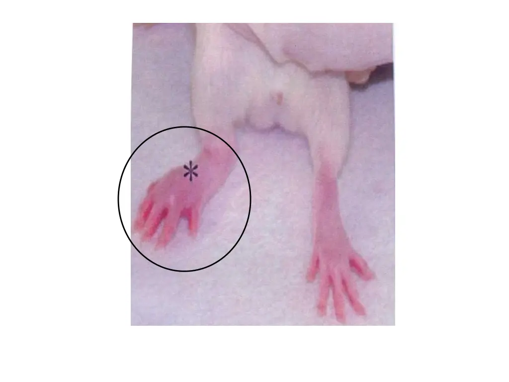 slide6