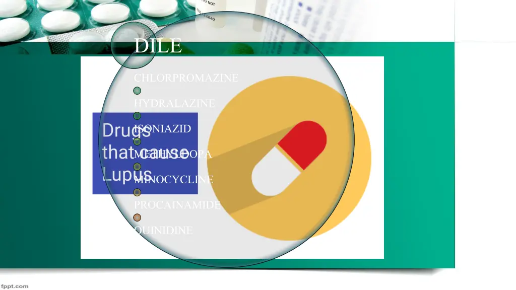 dile chlorpromazine hydralazine isoniazid