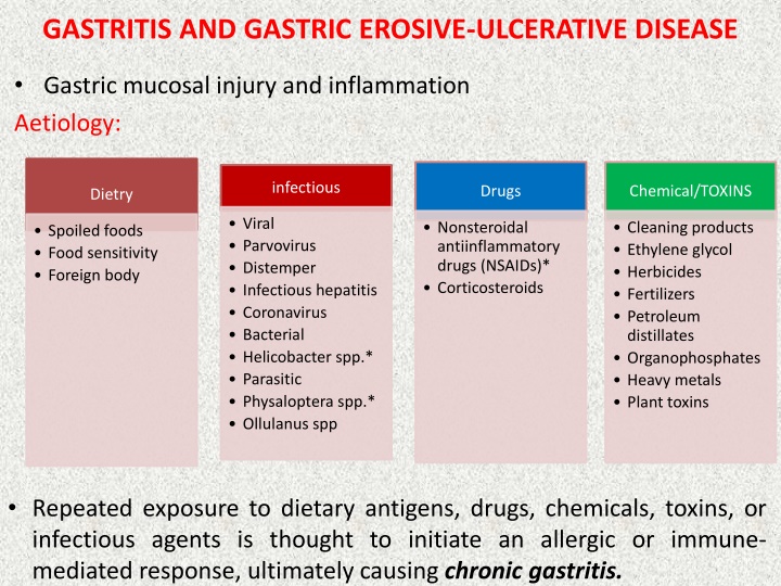 gastritis and gastric erosive ulcerative disease