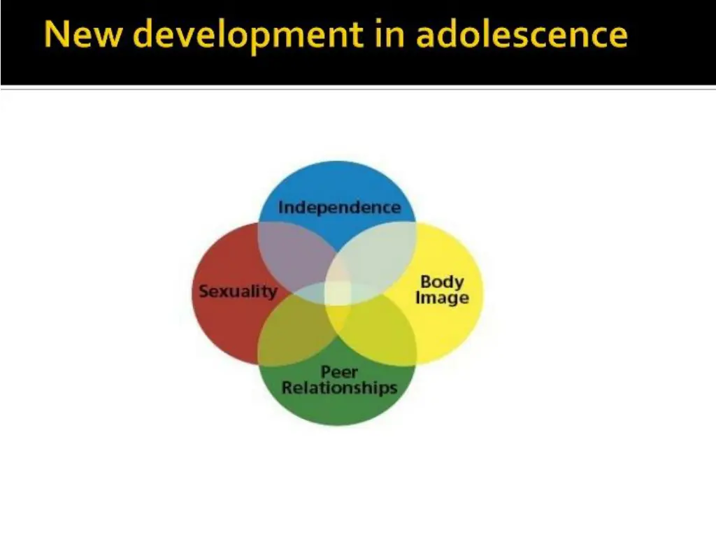 slide4