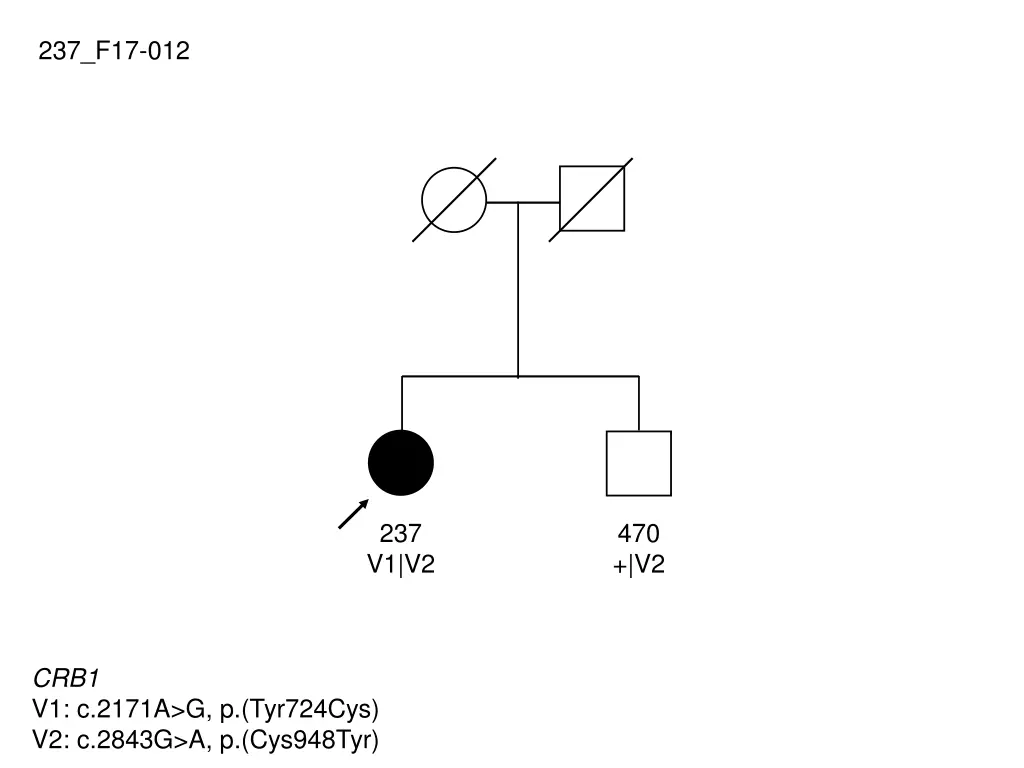 237 f17 012