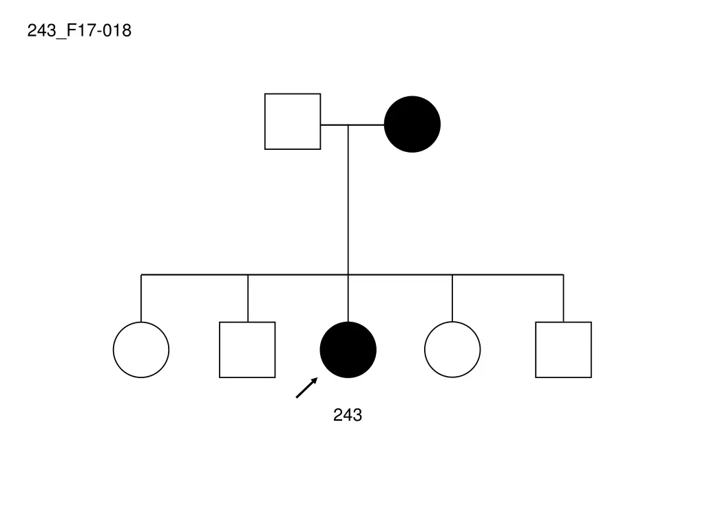 243 f17 018