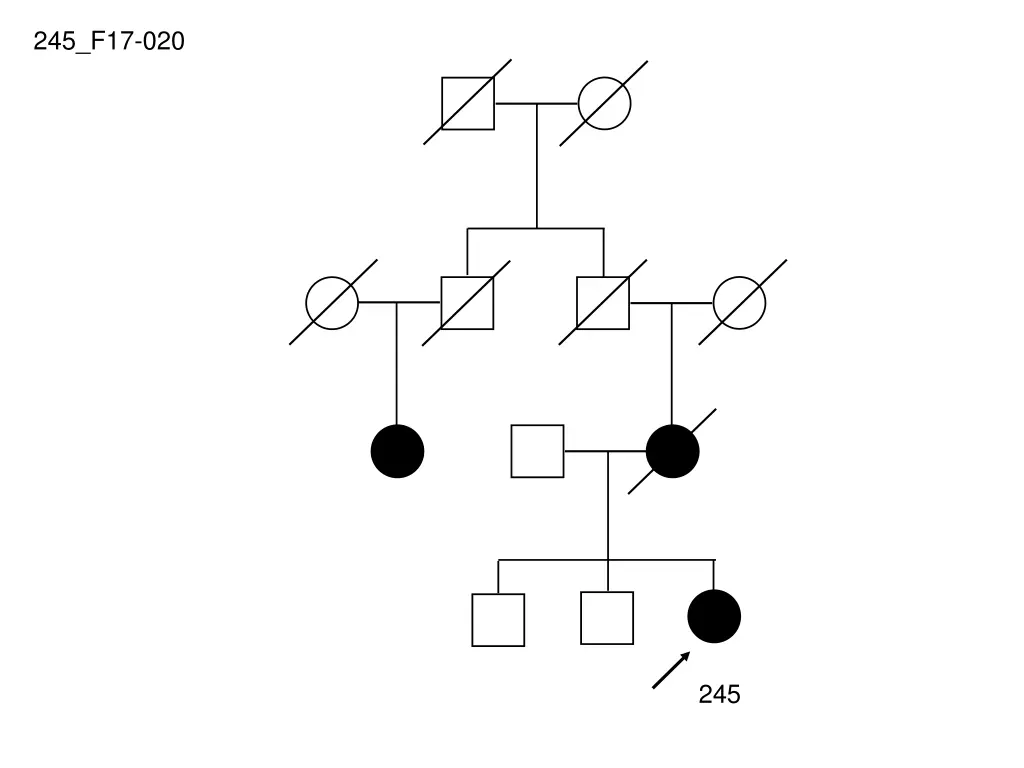245 f17 020