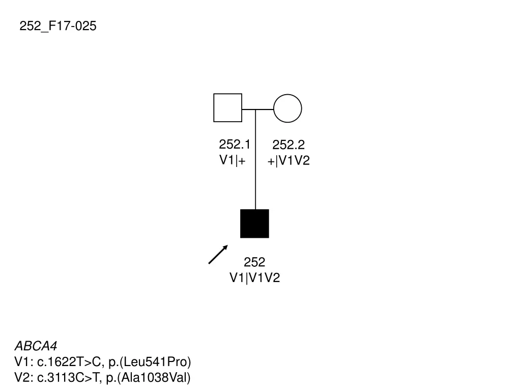 252 f17 025