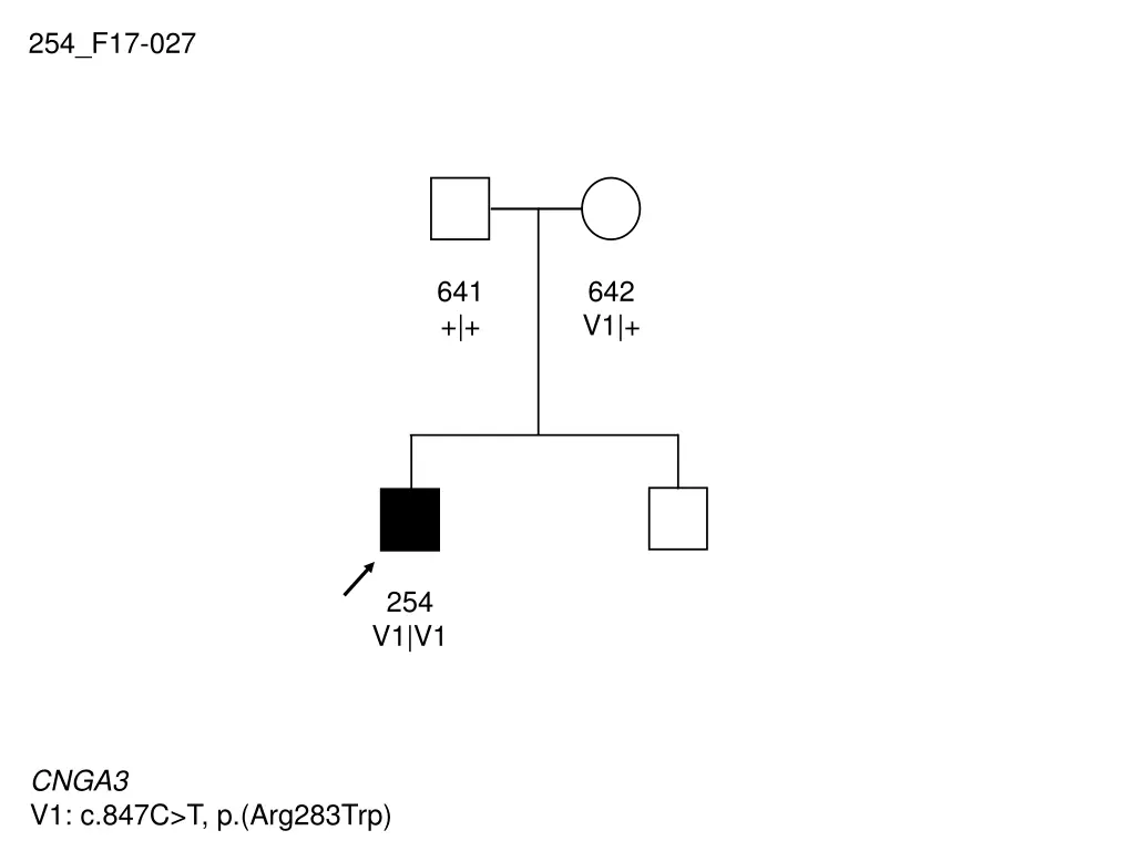 254 f17 027