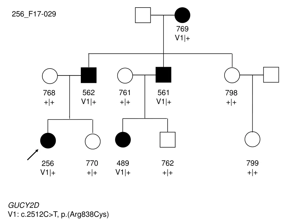 256 f17 029