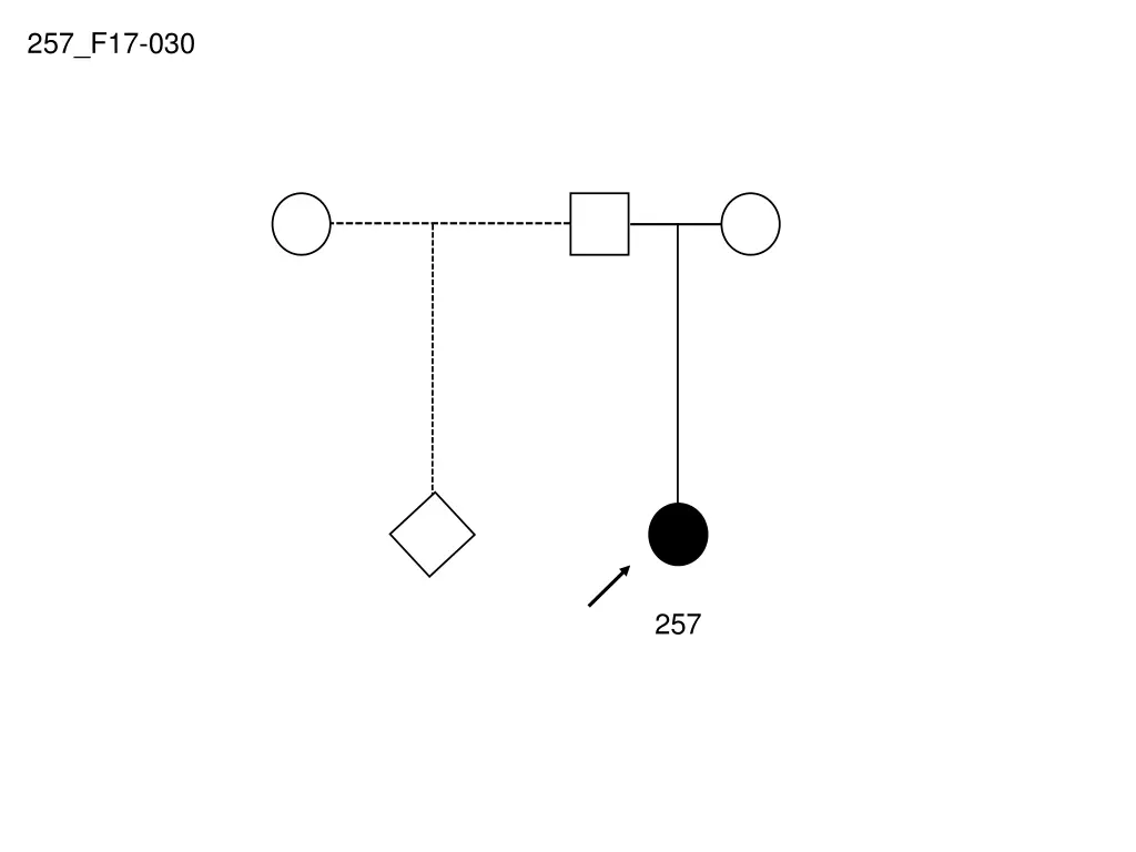 257 f17 030