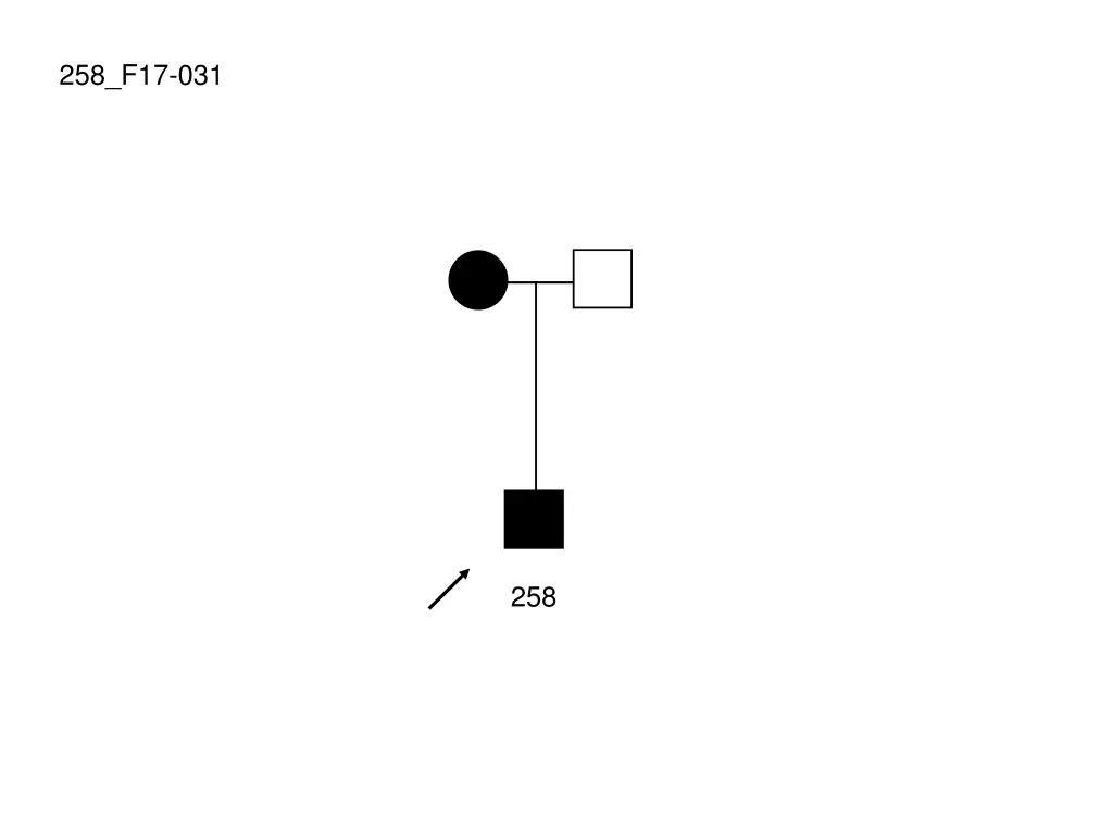 258 f17 031