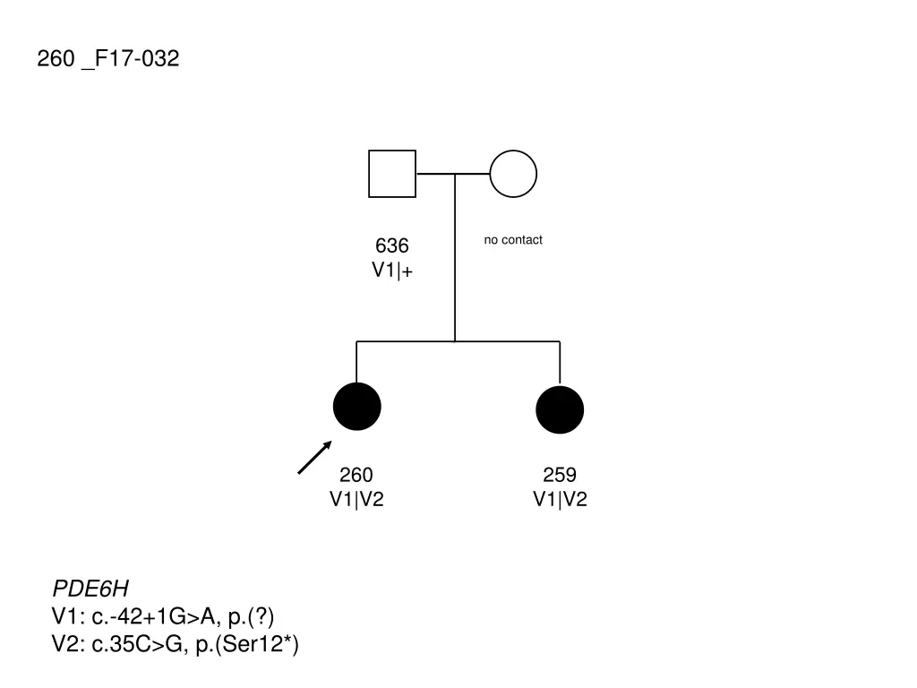 260 f17 032